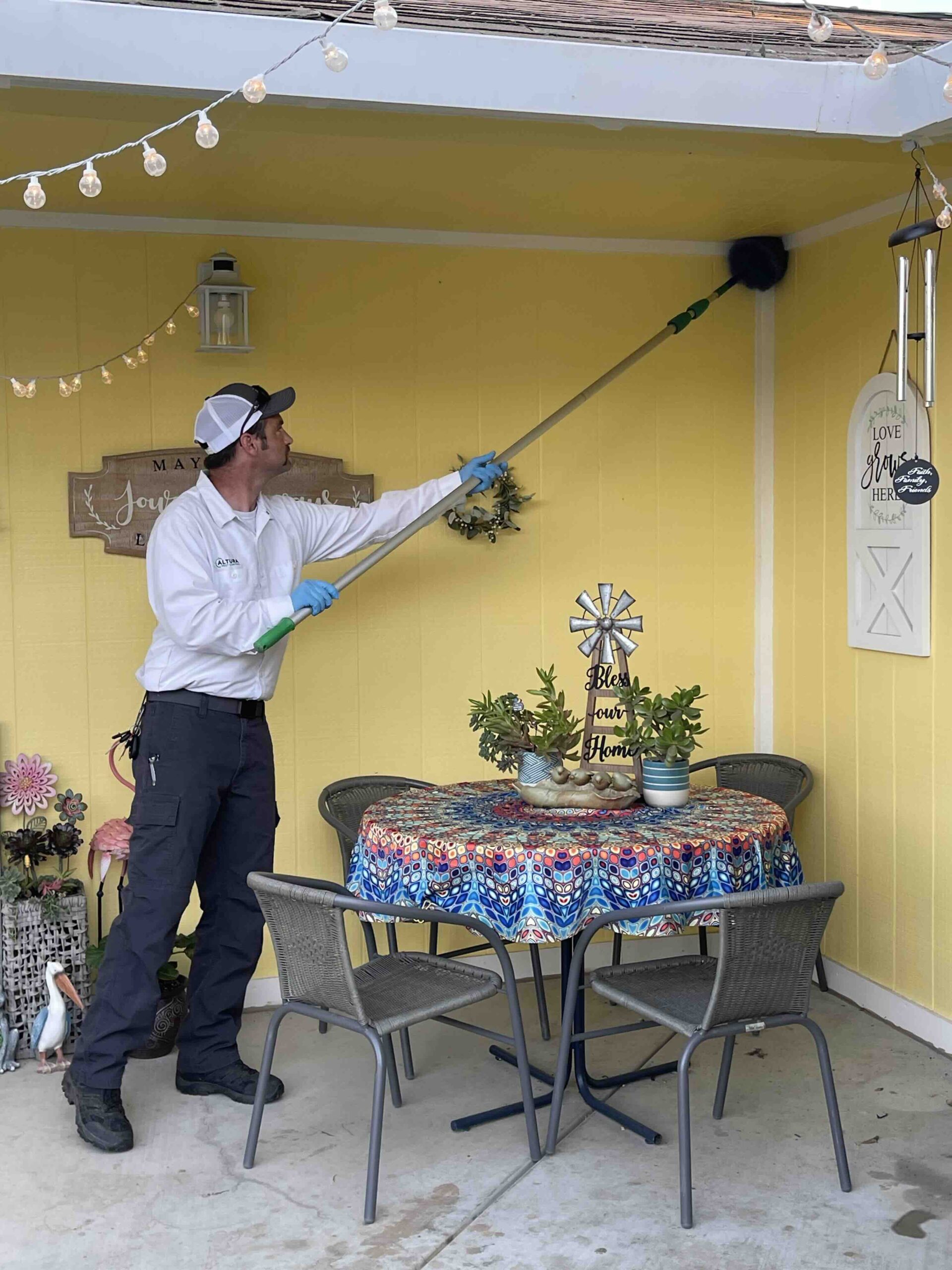 Pest Control Service spider web removal